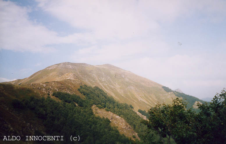 LA VETTA DELLA CIMA DELL'OMO DAL SENTIERO