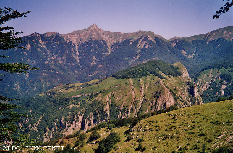 IL MONTE RONDINAIO DAL SENTIERO PER FONTANA A TROGHI