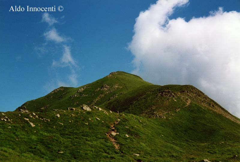 IL MONTE CAVALBIANCO
