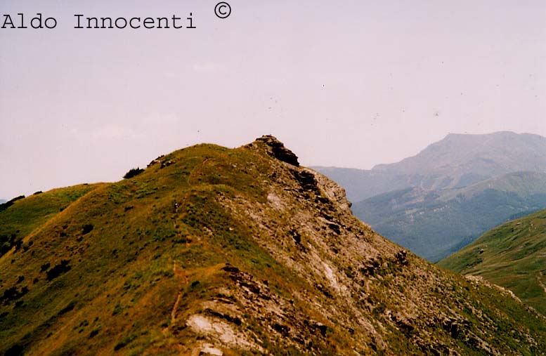 LA CIMA TAUFFI