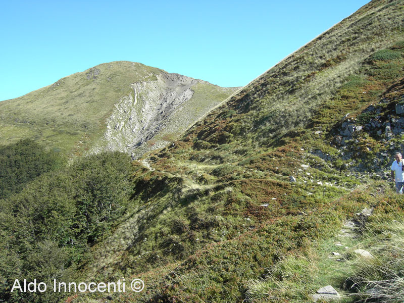 LA VIA DEI REMI DA PIAN DELLA CACIAIA AL PASSO DEL TERZINO