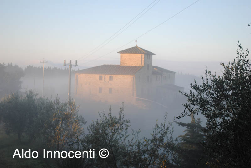 MONSANTO:CASOLARE FRA LA NEBBIA 1' IMMAGINE