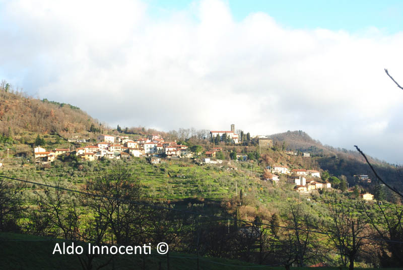 MIGLIANA: VEDUTA PANORAMICA