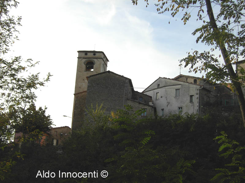 PANORAMA DI FIBBIALLA
