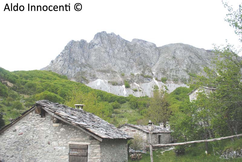 CAMPOCATINO: 6' IMMAGINE