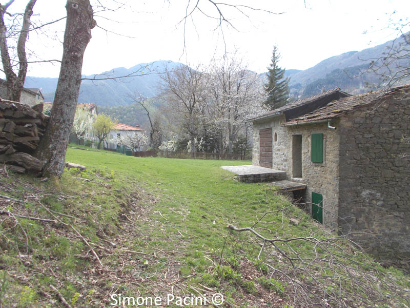 LUSTROLA: IL PAESE 2' IMMAGINE