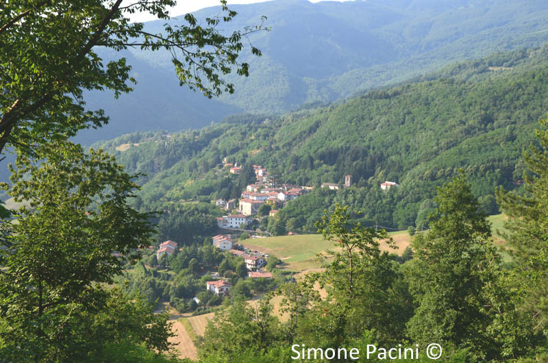 LIZZANO PISTOIESE: PANORAMA 2' IMMAGINE