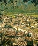 ALA PANORAMA