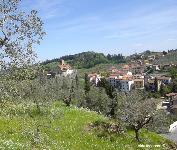 BACCHERETO: PANORAMA