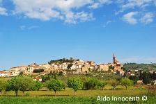 CASTIGLION FIORENTINO: PANORAMA 2' IMMAGINE