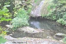 CASCATA DEL RIO BUTI 2