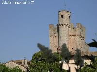 CASTELLO DELLA CHIOCCIOLA: 8' IMMAGINE