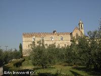 CERTOSA DEL GALLUZZO: 5' IMMAGINE