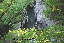 COCCIGLIA: LE STRETTE DELLA LIMA 3' IMMAGINE