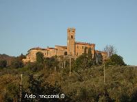COZZILE: PANORAMA 2
