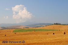 GALLINA: PAESAGGIO 12' IMMAGINE