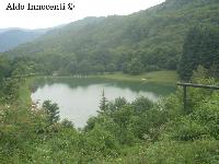 LAGONI: LAGO 5' IMMAGINE