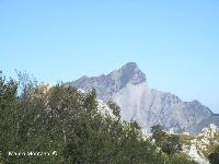 MONTE ALTISSIMO:  MONTE SAGRO 2' IMMAGINE