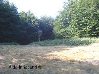 MONTE FALTERONA: VALICO CROCICCHIE 2