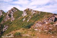 DENTI DELLA VECCHIA: 1' IMMAGINE