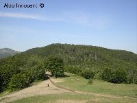 IL MONTE MAIORI DALLA VERGINETTA