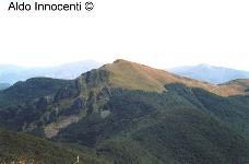 VETTA DEL MONTE GIOVARELLO