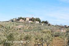 MONTEBENICHI: PANORAMA 2' IMMAGINE