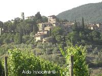 MONTEFIORALLE: PANORAMA 2' IMMAGINE