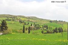 MONTICCHIELLO: STRADA DEI CIPRESSI 3