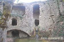 MULINACCIO DI SCANDICCI: MULINACCIO 7' IMMAGINE