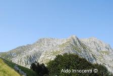 PANIA DA PIGLIONICO: PANIA 1' IMMAGINE