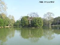 PARCO PUCCINI: LAGO 4' IMMAGINE