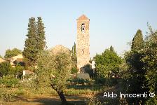 PIEVE DI S. PIETRO A RIPOLI: ABSIDE E CAMPANILE 2' IMMAGINE