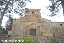 PIEVE DI S. MARIA A CHIANNI: PIEVE 4' IMMAGINE