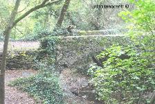 PONTE SUL RIO BUTI: IL PONTE