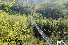 PONTE SOSPESO: 8� IMMAGINE