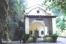 SANTUARIO DI SANTA MARIA DEGLI ANGELI: SANTUARIO 4' IMMAGINE