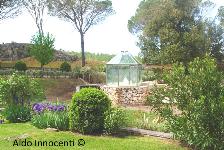 TERME SAN GIOVANNI: SORGENTE 1' IMMAGINE