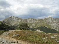 CRINALE APPENNINO TOSCO - EMILIANO