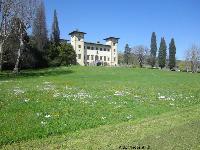 VILLA FORTEGUERRI 14