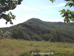MONTE ALPESIGOLA