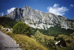 ANCORA CAMPOCATINO