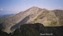 CAMMINANDO SUL CRINALE DEI GROPPI  DI CAMPORAGHENA CON L'ALPE DI SUCCISO SULLO SFONDO