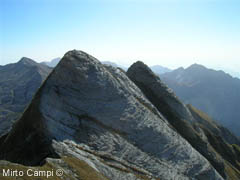 LE GOBBE DEL MONTE CAVALLO