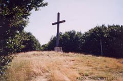 ANCORA LA VETTA DEL MONTE FALTERONA