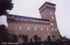 IL CASTELLO DEL TREBBIO