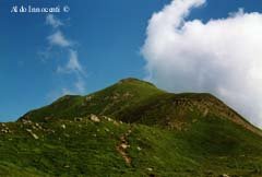 IL MONTE CAVALBIANCO