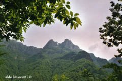 IL MONTE FORATO
