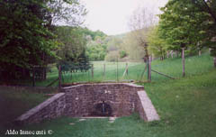 FONTE CETICA