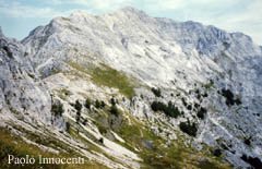 IL MONTE TAMBURA
